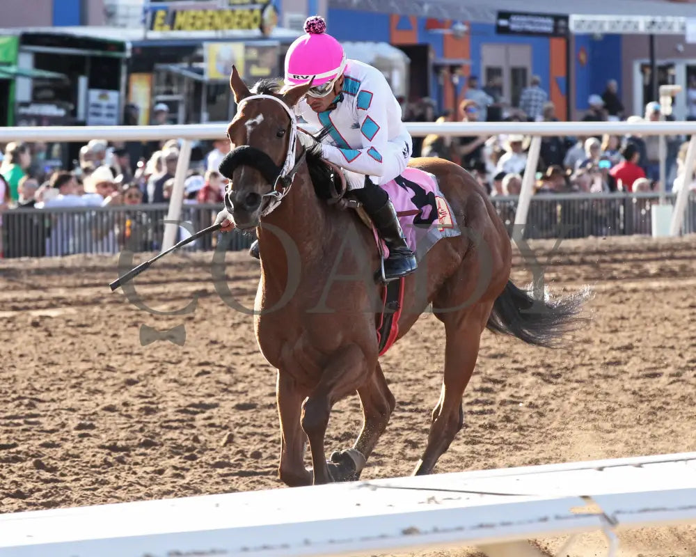FORTY FIVE - Peppers Pride Stakes - 15th Running - 02-16-25 - R08 - Sunland Park - Inside Finish Turfway Park