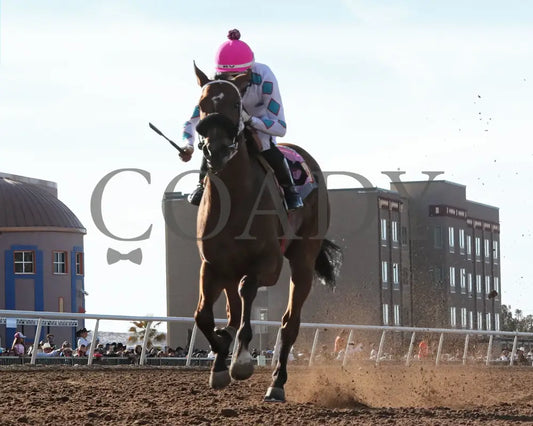 FORTY FIVE - Peppers Pride Stakes - 15th Running - 02-16-25 - R08 - Sunland Park - Under Rail - Coady Media - Kurtis Coady Photography