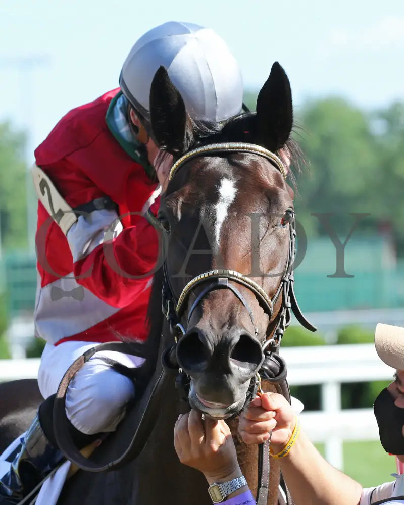 Four Graces - Dogwood G3 44Th Running 06-06-20 R10 Cd Come Back 01 Churchill Downs