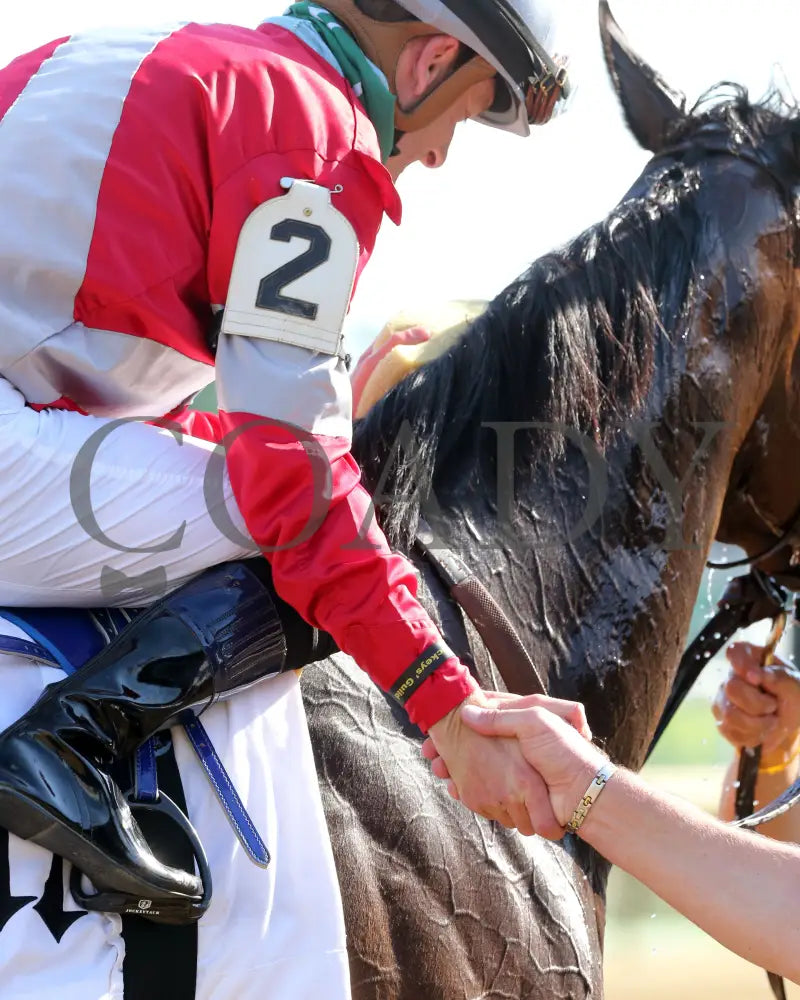 Four Graces - Dogwood G3 44Th Running 06-06-20 R10 Cd Come Back 03 Churchill Downs