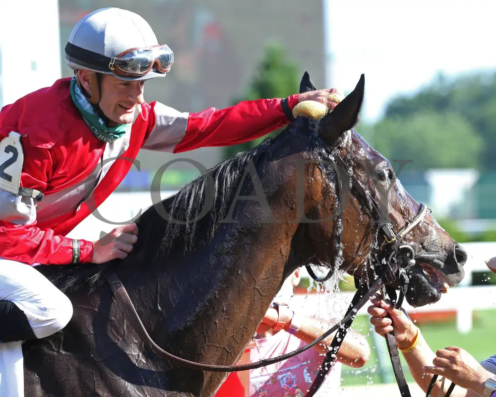 Four Graces - Dogwood G3 44Th Running 06-06-20 R10 Cd Come Back 04 Churchill Downs