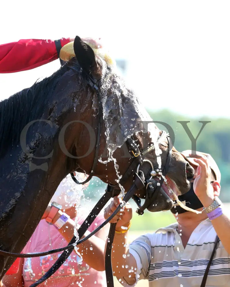 Four Graces - Dogwood G3 44Th Running 06-06-20 R10 Cd Come Back 05 Churchill Downs