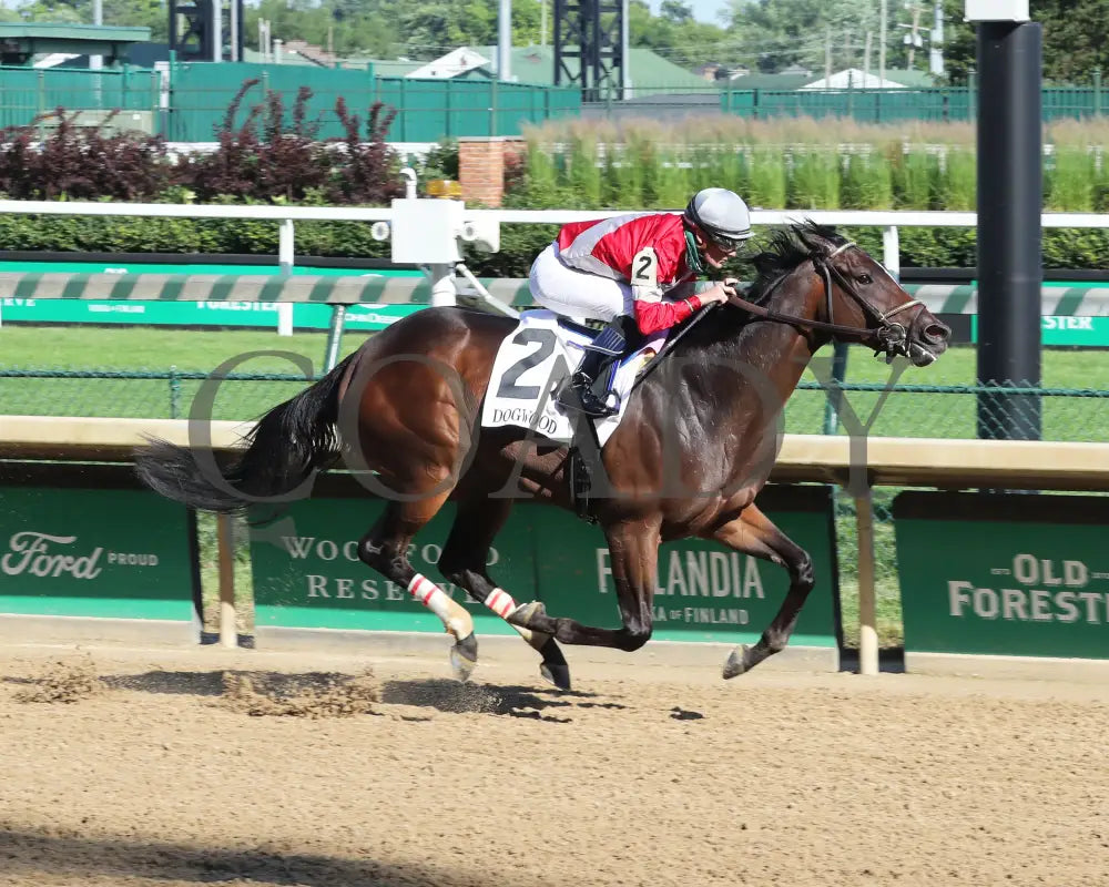 Four Graces - Dogwood G3 44Th Running 06-06-20 R10 Cd Finish 01 Churchill Downs