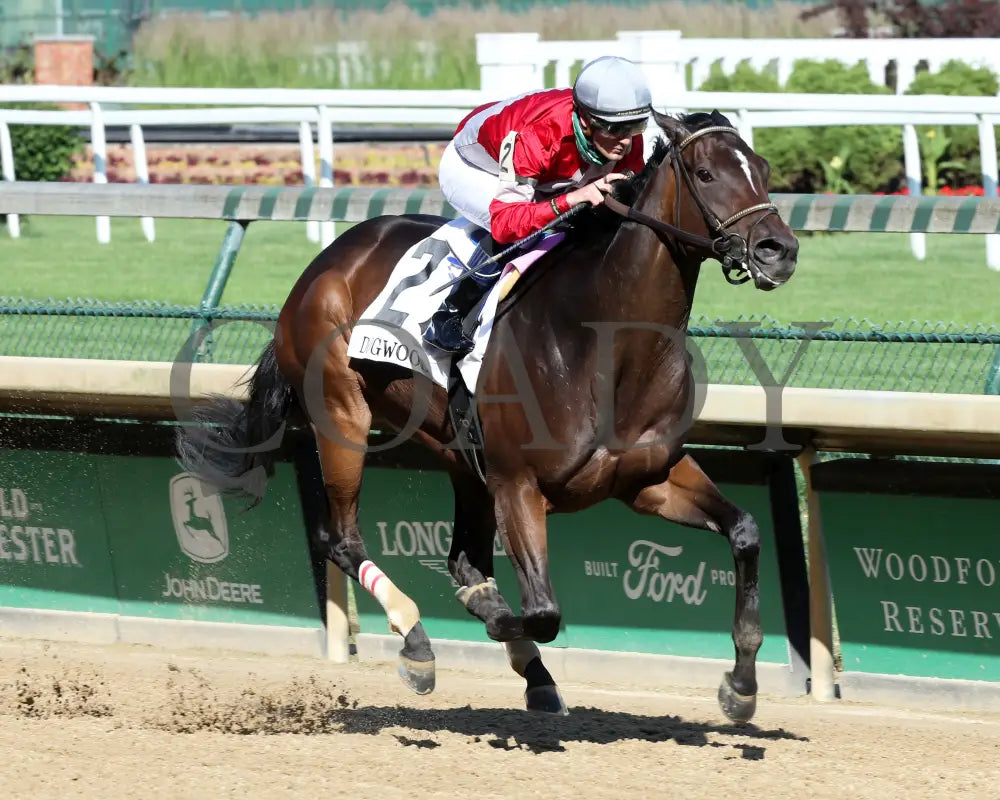 Four Graces - Dogwood G3 44Th Running 06-06-20 R10 Cd Finish 02 Churchill Downs