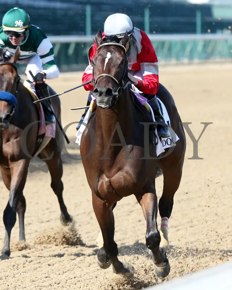 Four Graces - Dogwood G3 44Th Running 06-06-20 R10 Cd Inside Finish 01 Churchill Downs