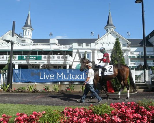 Four Graces - Dogwood G3 44Th Running 06-06-20 R10 Cd Paddock 02 Churchill Downs
