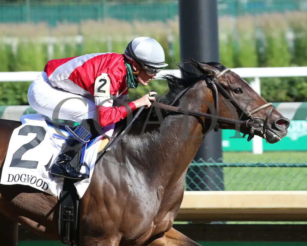 Four Graces - Dogwood G3 44Th Running 06-06-20 R10 Cd Tight Finish 01 Churchill Downs