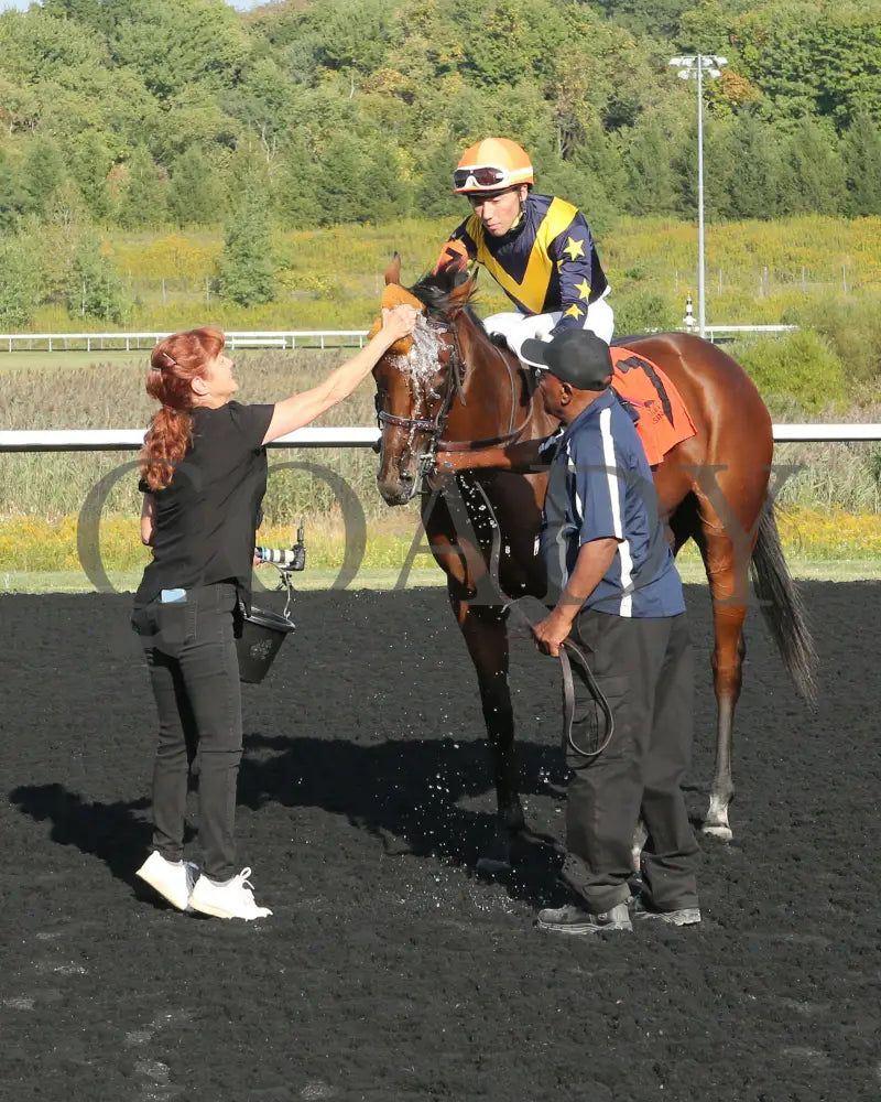 Foxtastic - The Presque Isle Debutante Stakes 09-20-24 R03 Pid Comeback 01 Downs