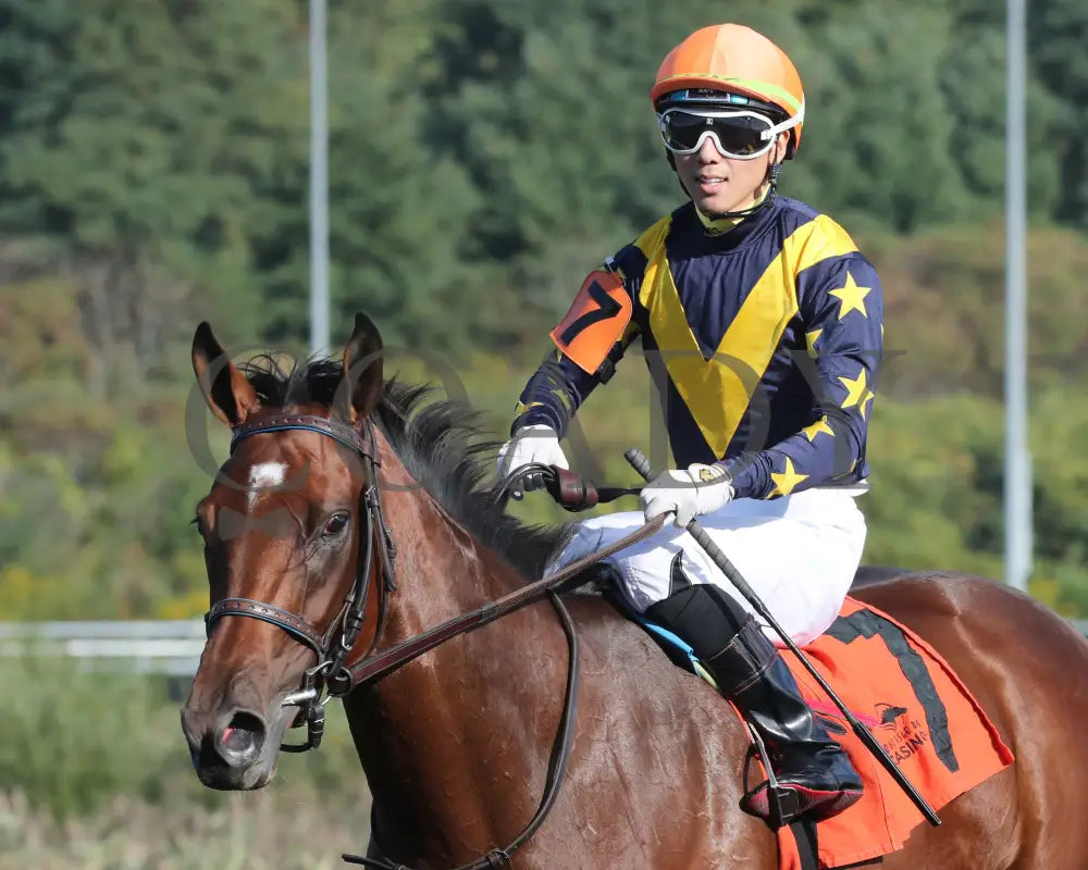 Foxtastic - The Presque Isle Debutante Stakes 09-20-24 R03 Pid Comeback 02 Downs