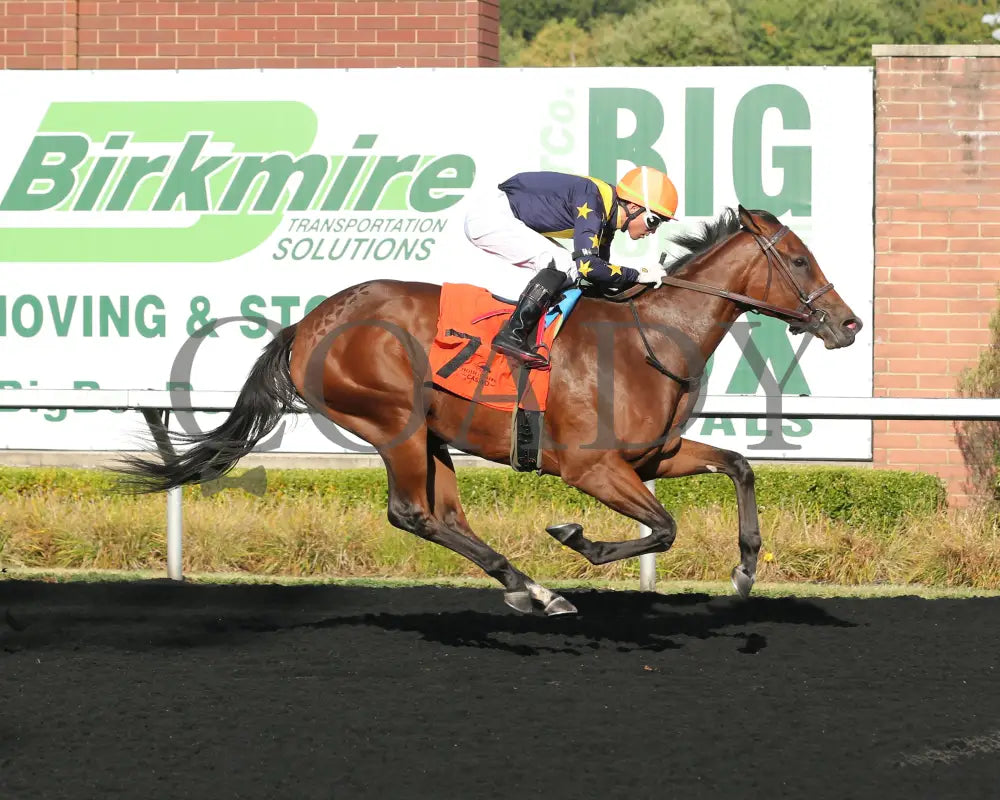 Foxtastic - The Presque Isle Debutante Stakes 09-20-24 R03 Pid Finish 01 Downs