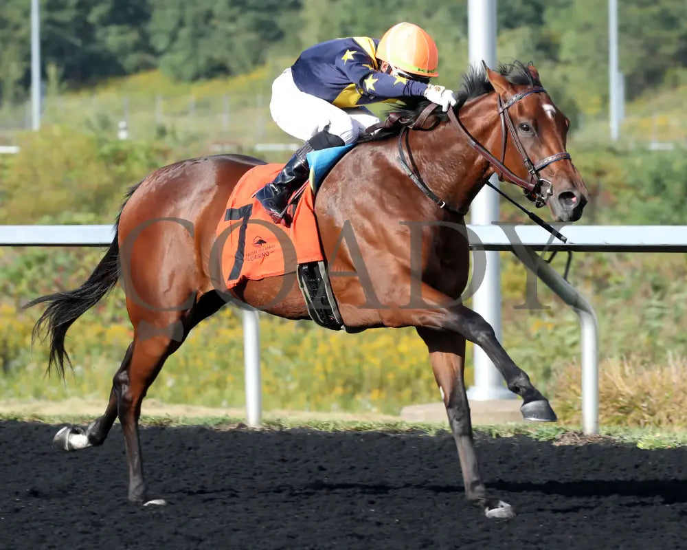 Foxtastic - The Presque Isle Debutante Stakes 09-20-24 R03 Pid Finish 02 Downs
