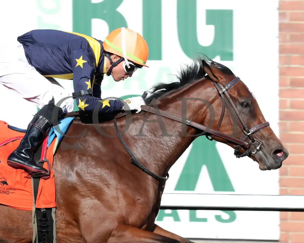 Foxtastic - The Presque Isle Debutante Stakes 09-20-24 R03 Pid Finish 03 Downs