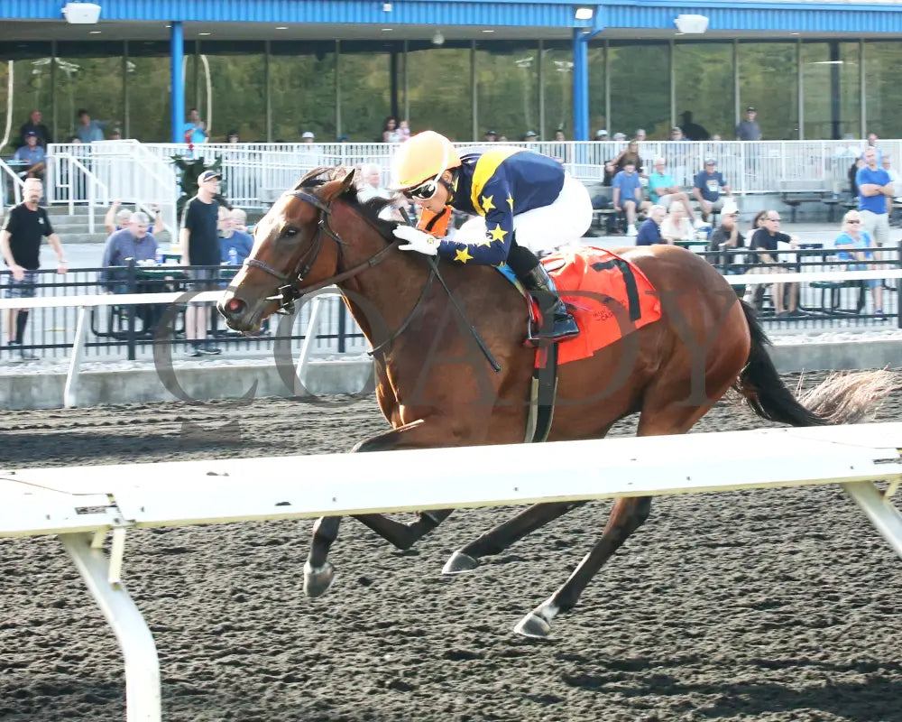 Foxtastic - The Presque Isle Debutante Stakes 09-20-24 R03 Pid Inside Finish 01 Downs