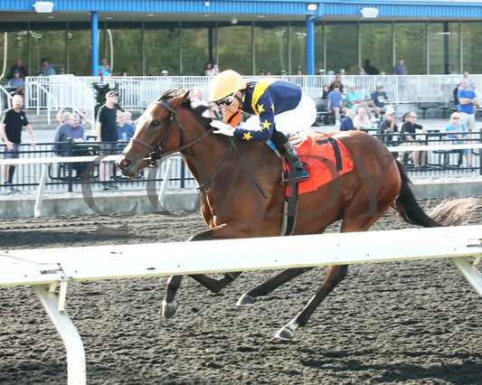 Foxtastic - The Presque Isle Debutante Stakes 09-20-24 R03 Pid Inside Finish 01 Downs