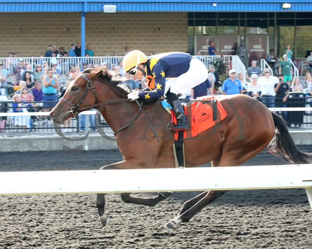 Foxtastic - The Presque Isle Debutante Stakes 09-20-24 R03 Pid Inside Finish 02 Downs