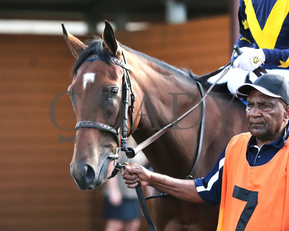 Foxtastic - The Presque Isle Debutante Stakes 09-20-24 R03 Pid Paddock 01 Downs