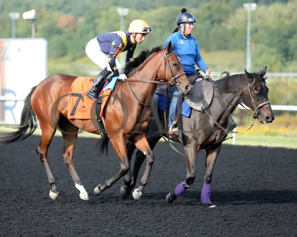 Foxtastic - The Presque Isle Debutante Stakes 09-20-24 R03 Pid Post Parade 01 Downs