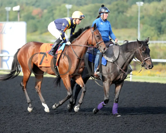 Foxtastic - The Presque Isle Debutante Stakes 09-20-24 R03 Pid Post Parade 01 Downs