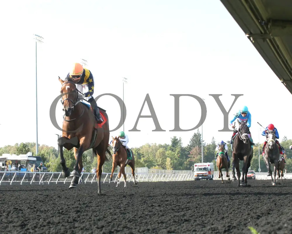 Foxtastic - The Presque Isle Debutante Stakes 09-20-24 R03 Pid Under Rail 01 Downs