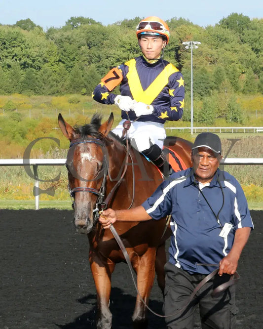 Foxtastic - The Presque Isle Debutante Stakes 09-20-24 R03 Pid Walk In 01 Downs