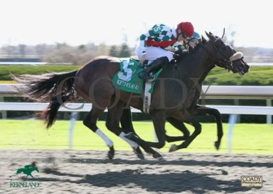 Fredrik The Great - 10/27/2010 Keeneland