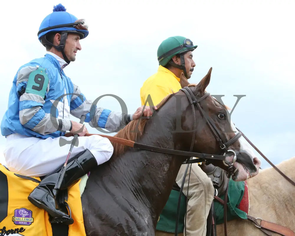 Free Drop Billy - Claiborne Breeders’ Futurity Gr I 104Th Running 10-07-17 R08 Kee Post Parade 2