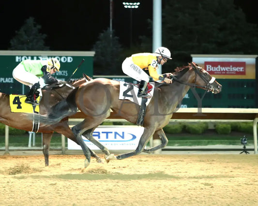 Free Like A Girl - Misty Bennett Pink Ribbon Stakes 15Th Running 08-23-24 R08 Ct Finish 01