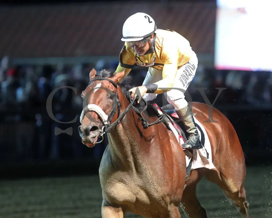 Free Like A Girl - Misty Bennett Pink Ribbon Stakes 15Th Running 08-23-24 R08 Ct Inside Finish 01