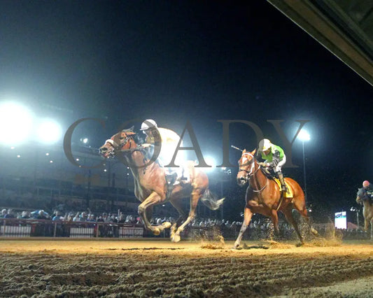 Free Like A Girl - Misty Bennett Pink Ribbon Stakes 15Th Running 08-23-24 R08 Ct Under Rail 02