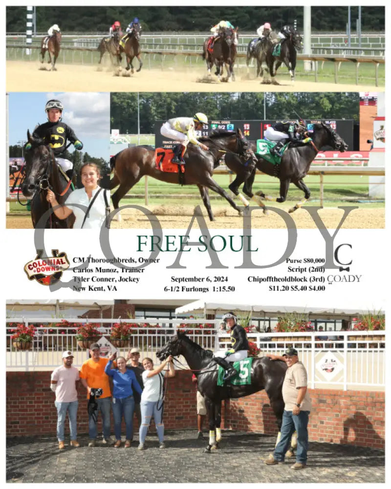 Free Soul - 09-06-24 R03 Cnl Colonial Downs