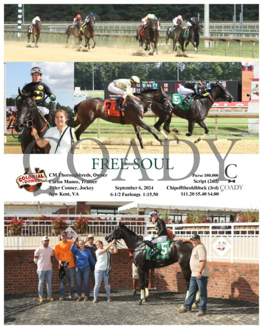 Free Soul - 09-06-24 R03 Cnl Colonial Downs