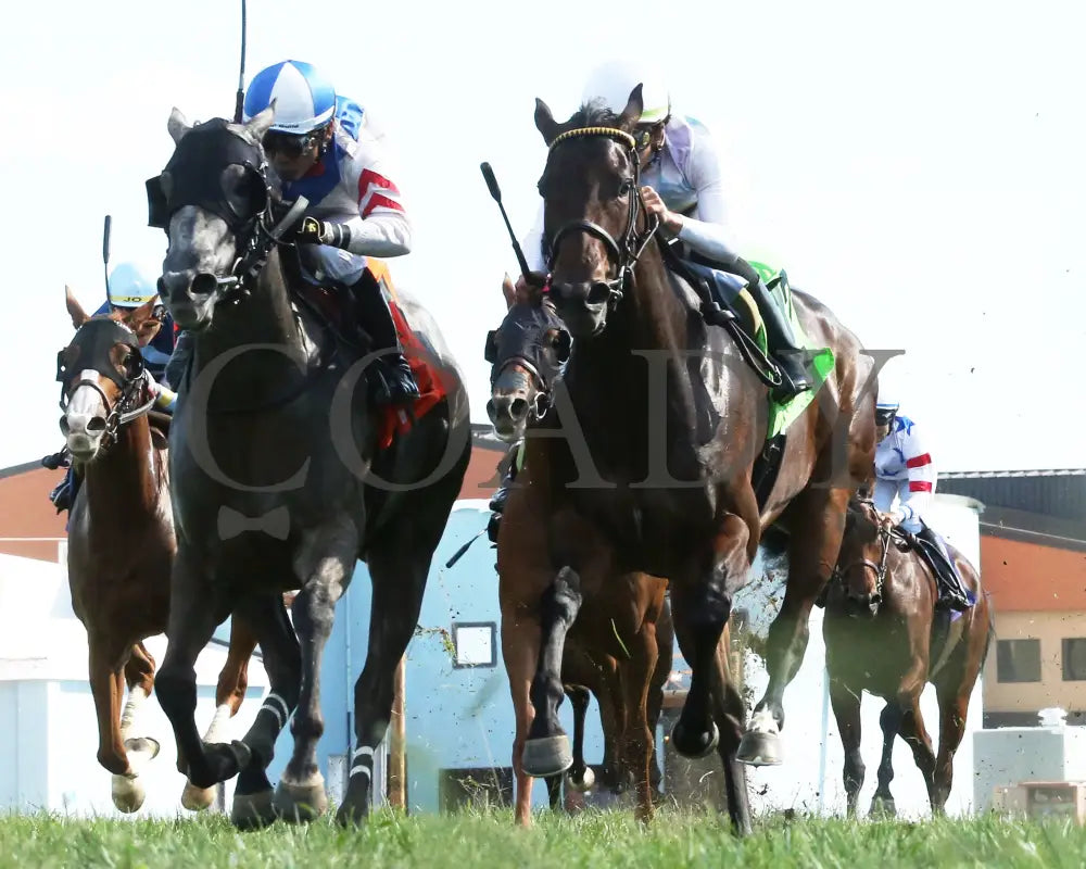 Freedom Speaks - Nelson’s Green Brier Tennesee Whiskey Music City Stakes 3Rd Running 09-13-22 R07