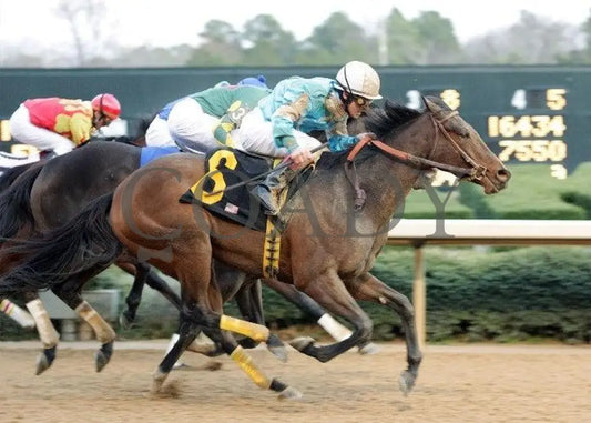 French Kiss - The Pippin Stakes 28Th Running Oaklawn Park