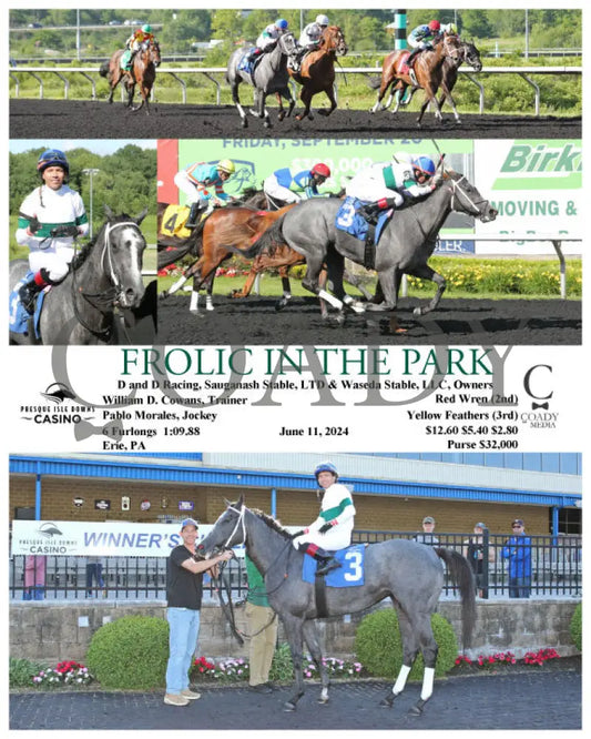 Frolic In The Park - 06-11-24 R07 Pid Presque Isle Downs