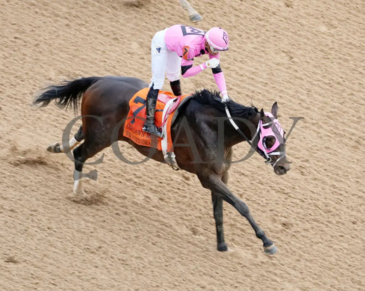 Frosted Grace - Oaklawn Mile Stakes G3 03 - 30 - 24 R09 Op Aerial Finish 01 Park