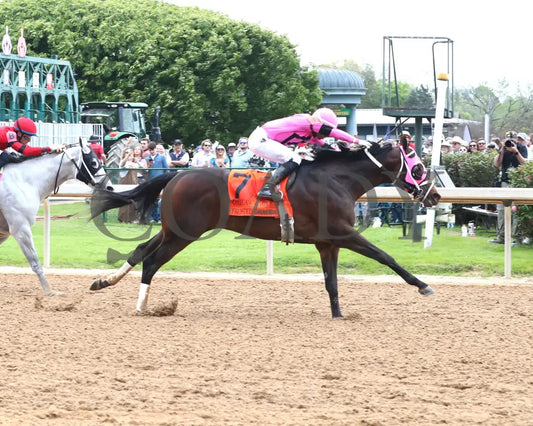 Frosted Grace - Oaklawn Mile Stakes G3 03 - 30 - 24 R09 Op Finish 01 Park