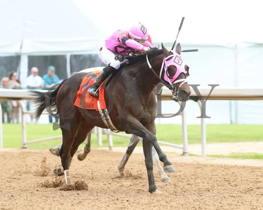 Frosted Grace - Oaklawn Mile Stakes G3 03 - 30 - 24 R09 Op Finish 02 Park