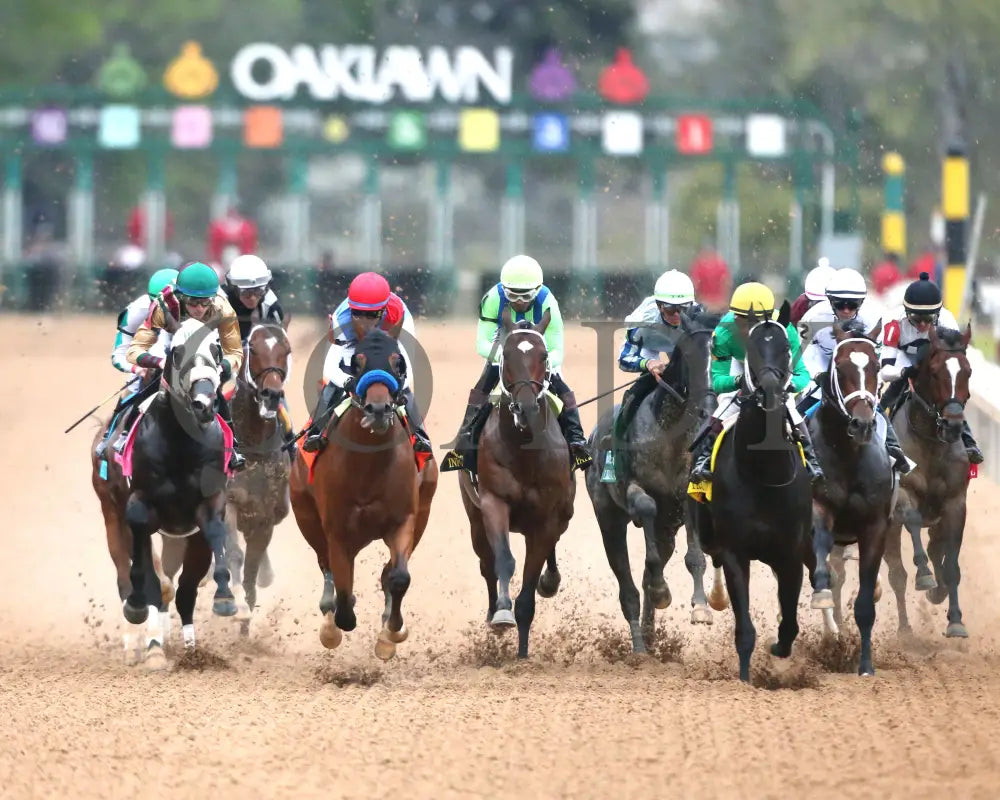 Frosted Grace - Oaklawn Mile Stakes G3 03 - 30 - 24 R09 Op First Turn 01 Park