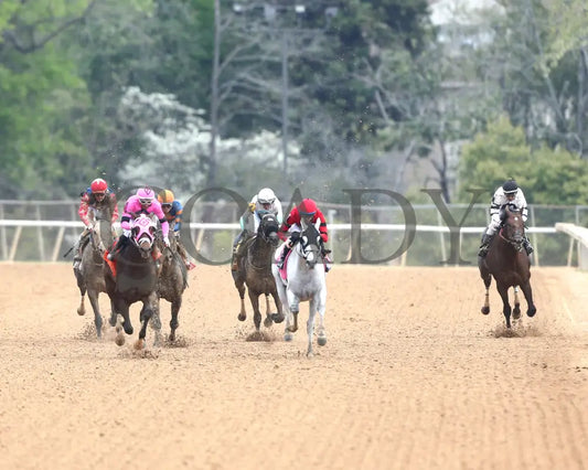 Frosted Grace - Oaklawn Mile Stakes G3 03 - 30 - 24 R09 Op Head On 01 Park