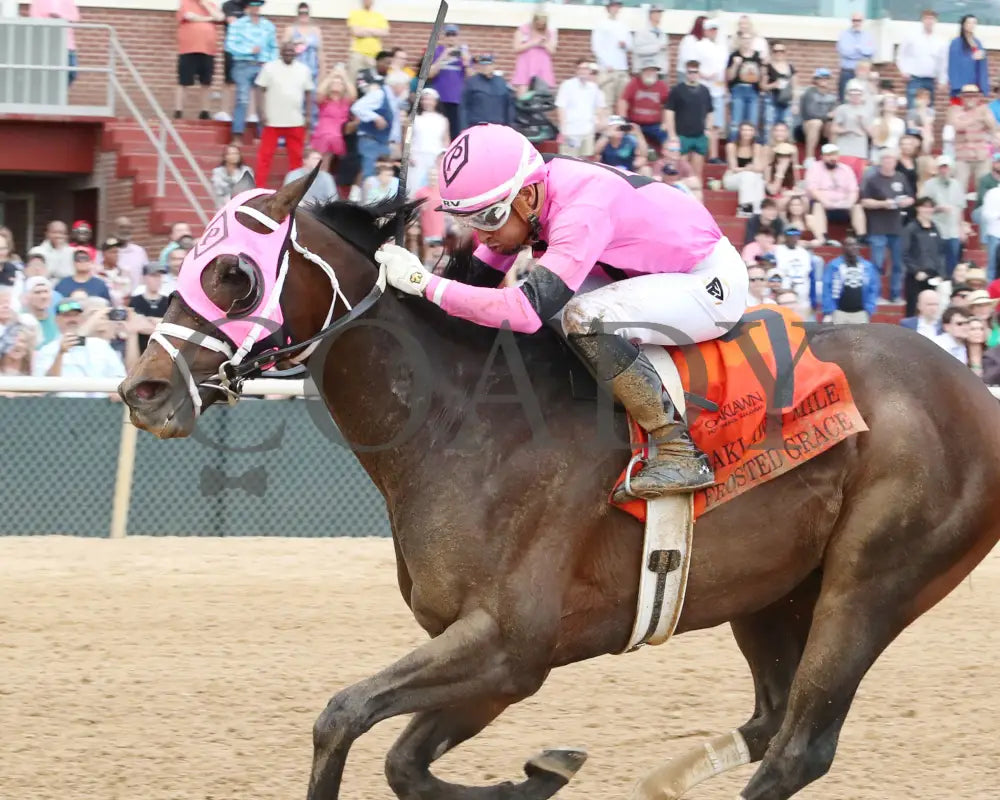 Frosted Grace - Oaklawn Mile Stakes G3 03 - 30 - 24 R09 Op Inside Finish 01 Park