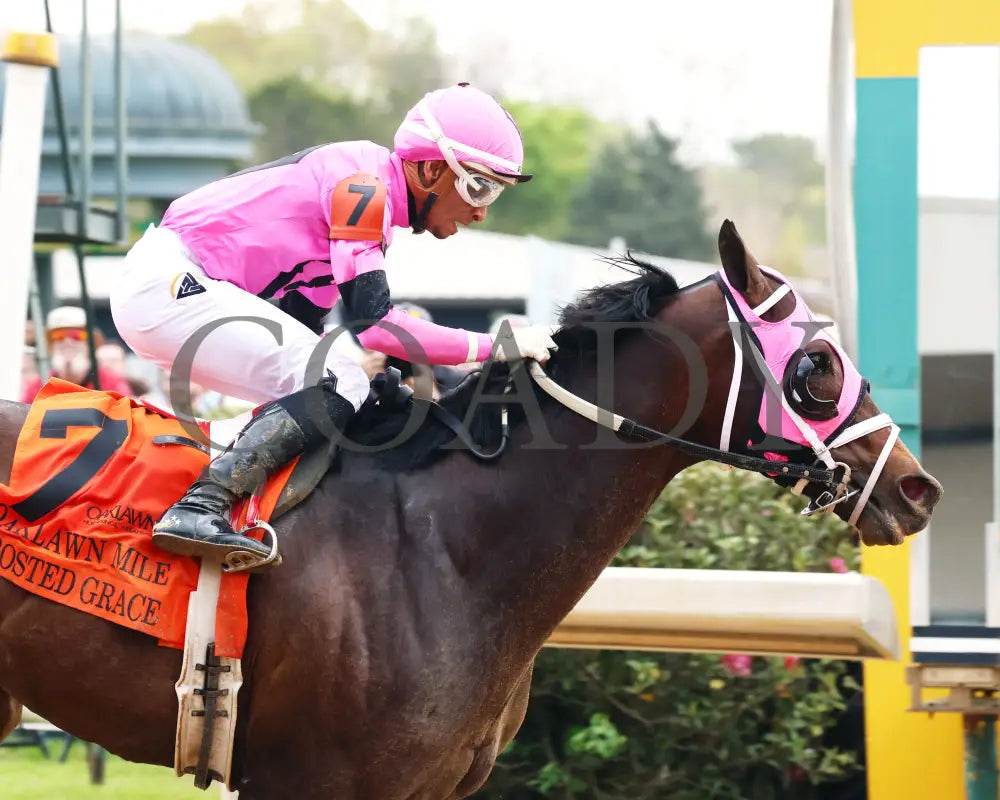 Frosted Grace - Oaklawn Mile Stakes G3 03 - 30 - 24 R09 Op Tight Finish 01 Park