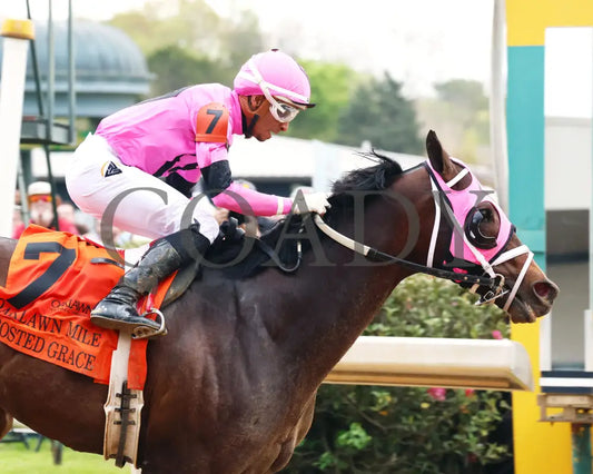 Frosted Grace - Oaklawn Mile Stakes G3 03 - 30 - 24 R09 Op Tight Finish 01 Park