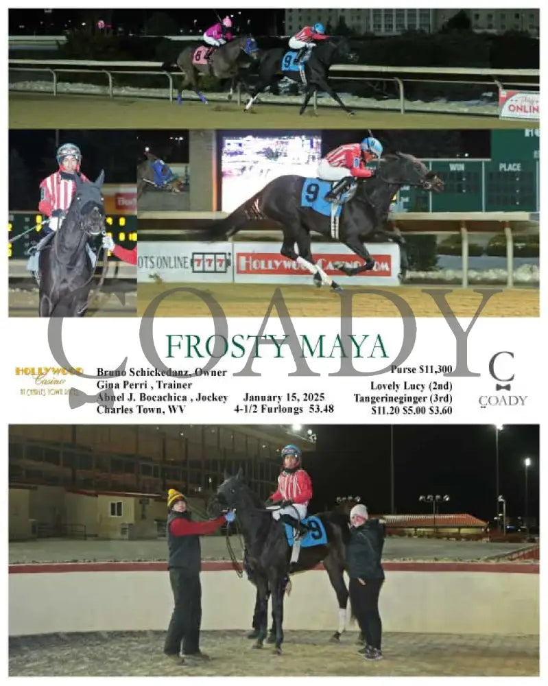 Frosty Maya - 01-15-25 R05 Ct Hollywood Casino At Charles Town Races