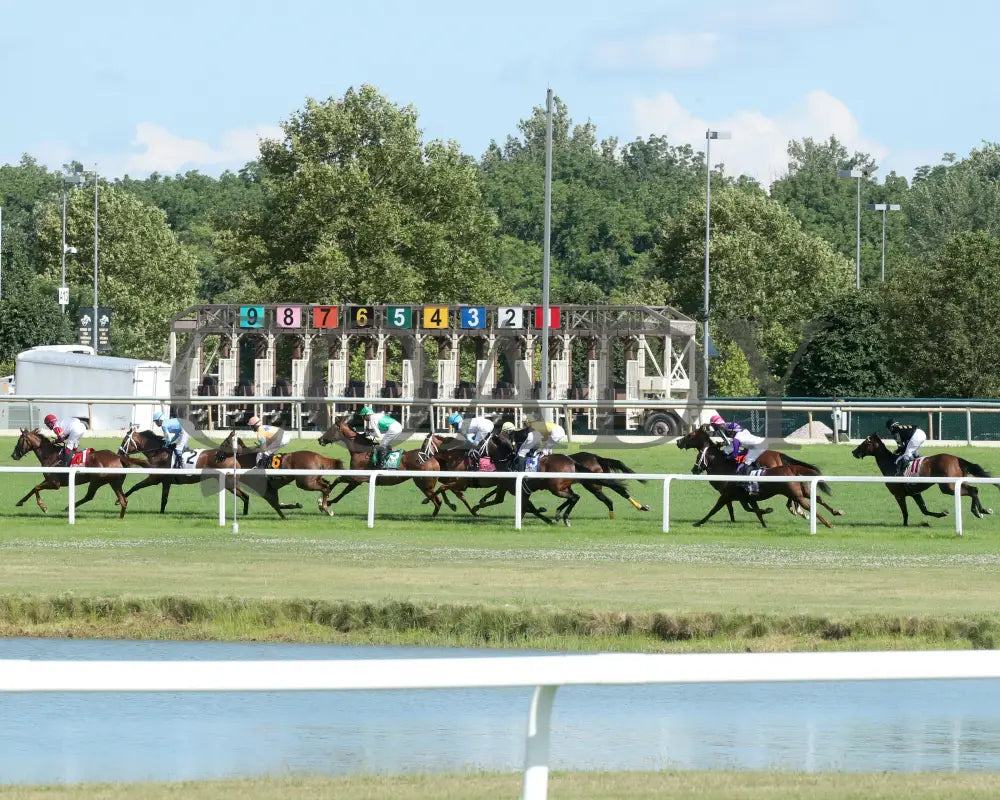 Fuente Ovejuna - Indiana General Assembly Distaff 16Th Running 07-06-24 R10 Horseshoe Backstretch