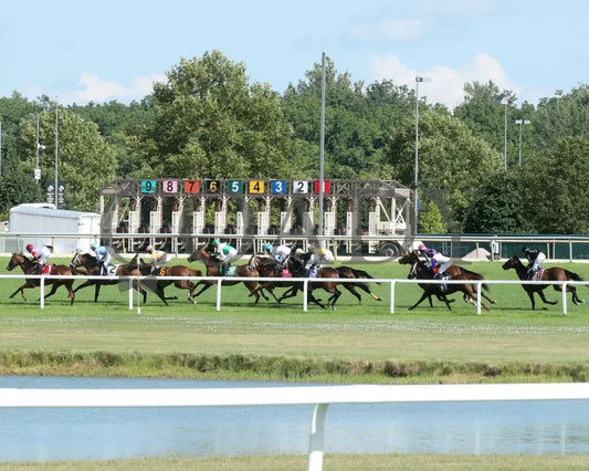 Fuente Ovejuna - Indiana General Assembly Distaff 16Th Running 07-06-24 R10 Horseshoe Backstretch