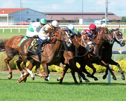 Fuente Ovejuna - Indiana General Assembly Distaff 16Th Running 07-06-24 R10 Horseshoe Finish 02