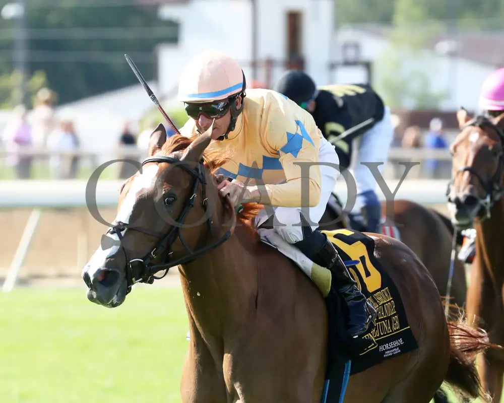 Fuente Ovejuna - Indiana General Assembly Distaff 16Th Running 07-06-24 R10 Horseshoe Inside Finish