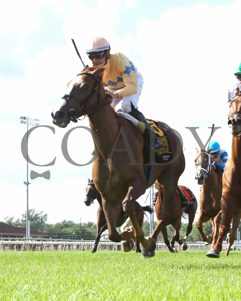 Fuente Ovejuna - Indiana General Assembly Distaff 16Th Running 07-06-24 R10 Horseshoe Under Rail 02