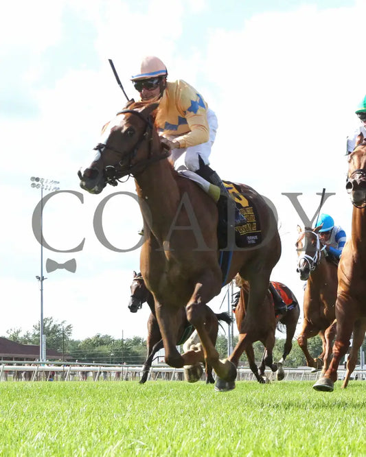 Fuente Ovejuna - Indiana General Assembly Distaff 16Th Running 07-06-24 R10 Horseshoe Under Rail 02