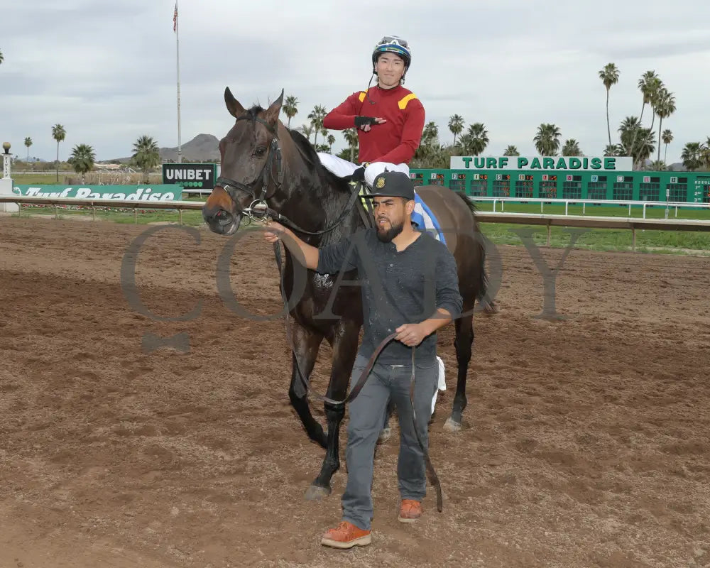 Fuerteventura - Cotton Fitzsimmons Stakes 03 - 14 - 24 R05 Turf Paradise Return Shot